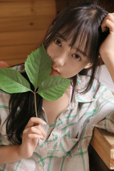 美丽的小蜜蜂2